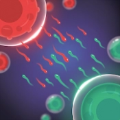 Cell Expansion Wars  APK