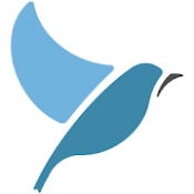 Learn 163 Languages Free | Bluebird APK