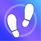 Step Counter APK